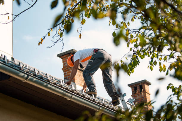 Roof Waterproofing Services in Bismarck, ND