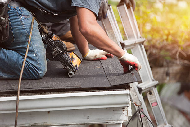 Best Roof Maintenance Services  in Bismarck, ND