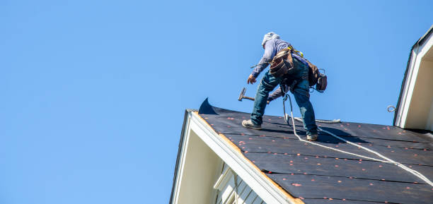 Roof Gutter Cleaning in Bismarck, ND